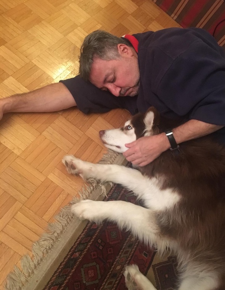 16 Men Who’d Do Anything for the Pets They “Never Wanted”