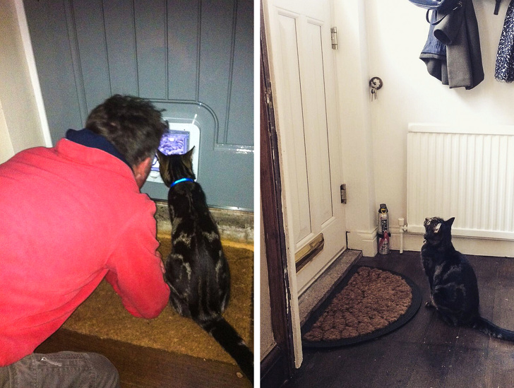 16 Men Who’d Do Anything for the Pets They “Never Wanted”