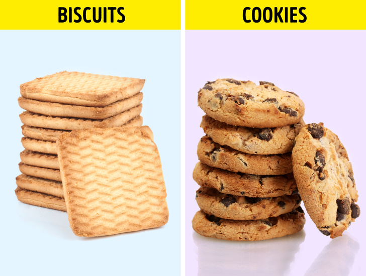 19 Things We Think Are the Same, but They’re Totally Different