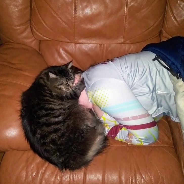 20+ People Who Got a Cat and Now Need at Least a Minute of Peace and Quiet