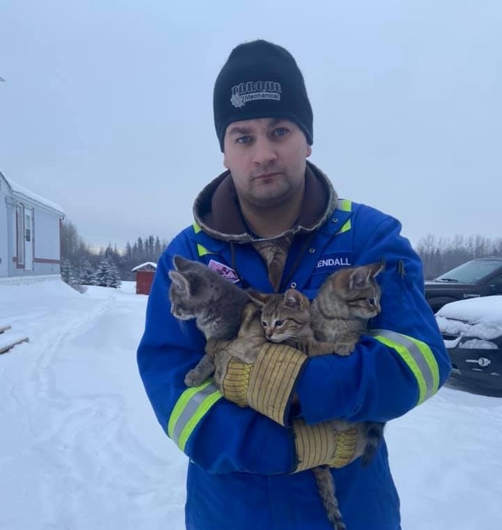 A Man Saves 3 Kitties Who Were Frozen to the Ground with Nothing but a Cup of Coffee