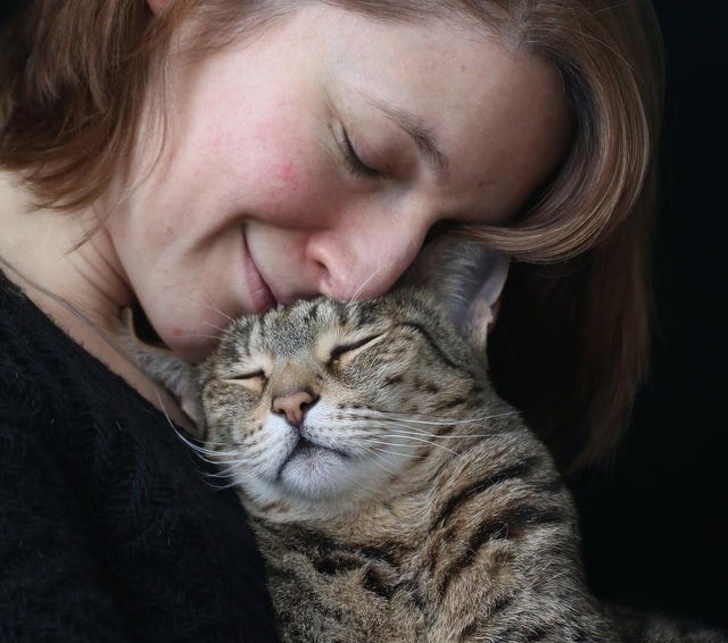 A Study Finds That Your Cat Thinks of You as a Parent