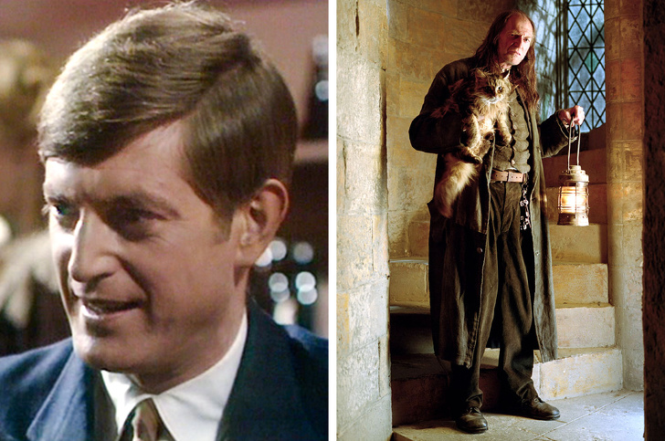 How 20 “Harry Potter” Actors Looked in Their Youth and in the Films