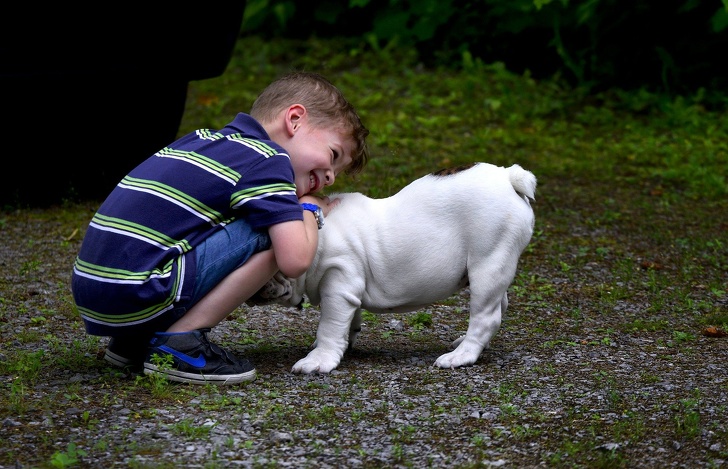 Kids Who Grow Up With Pets Are Healthier, According to Research