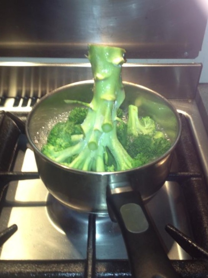 20 People Who Have a Special Relationship With Cooking