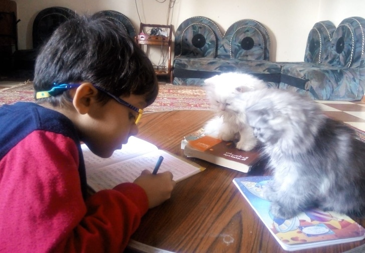 Bright Side Readers Share 21 Photos of Kids With Their Fluffy Besties That Show the True Meaning of Friendship