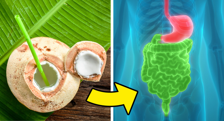 Coconut Water vs Coconut Milk: How They Differ and What Their Benefits Are