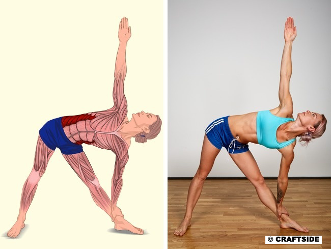 Posture Exercises: 10 Poses Will Show Which Muscles You Stretch 