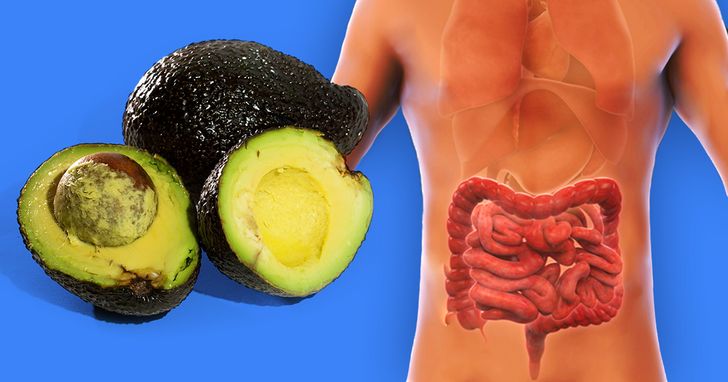 What Happens to Your Gut If You Eat Avocado Every Day